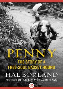      Penny