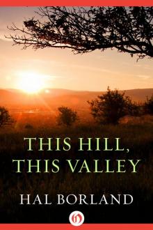      This Hill, This Valley