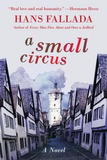      A Small Circus