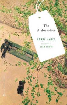      The Ambassadors