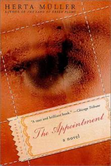      The Appointment