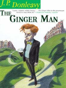      The Ginger Man