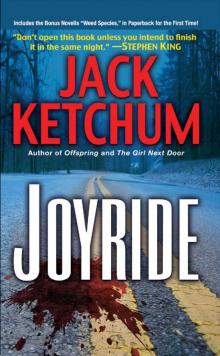      Joyride