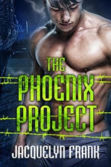     The Phoenix Project