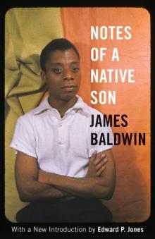      Notes of a Native Son