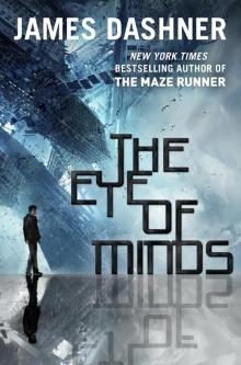      The Eye of Minds
