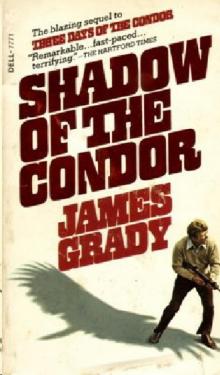      Shadow of the Condor