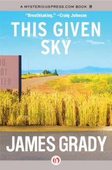      This Given Sky