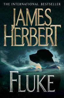      Fluke