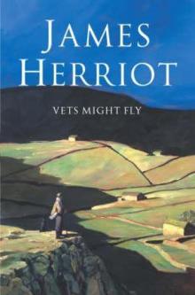      Vets Might Fly