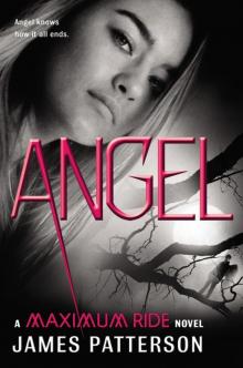      Angel