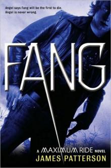     Fang