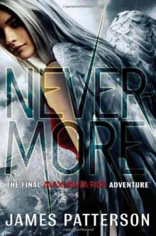      Nevermore: The Final Maximum Ride Adventure