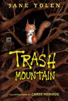      Trash Mountain
