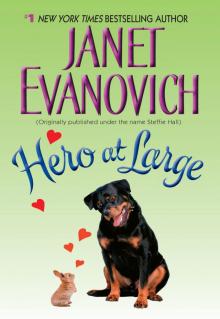      Hero at Large