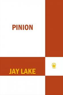      Pinion