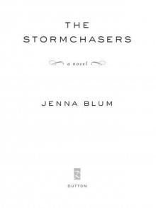      The Stormchasers
