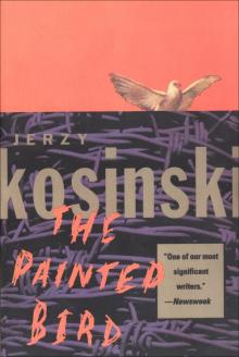      The Painted Bird