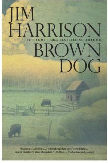      Brown Dog