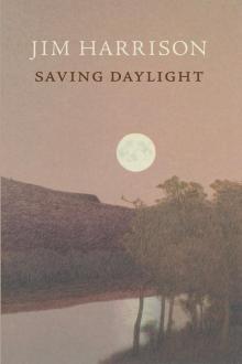      Saving Daylight