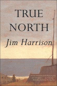      True North