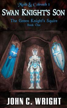      Swan Knight's Son