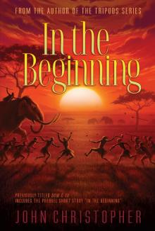      In the Beginning