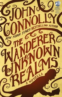      The Wanderer in Unknown Realms