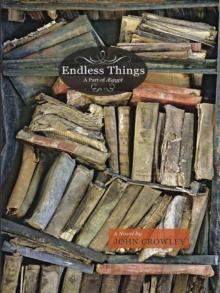      Endless Things