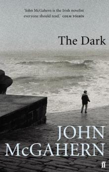      The Dark