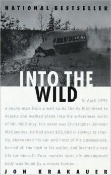      Into the Wild