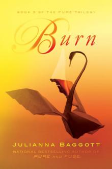      Burn