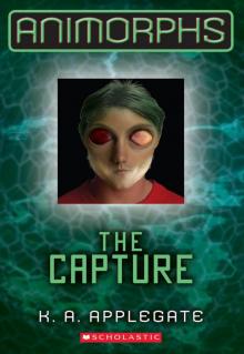      The Capture