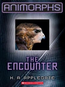      The Encounter