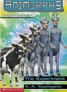      The Experiment