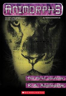      The First Journey