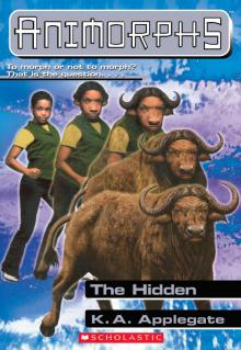      The Hidden