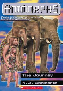      The Journey