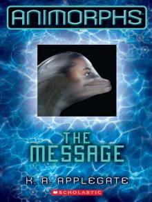     The Message
