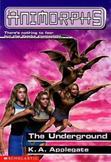      The Underground