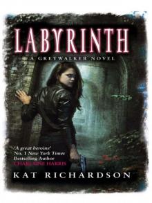      Labyrinth