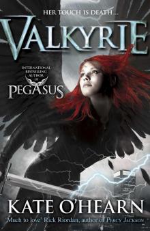      Valkyrie