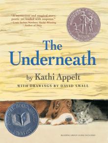      The Underneath