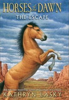     The Escape