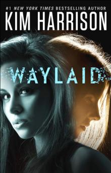      Waylaid