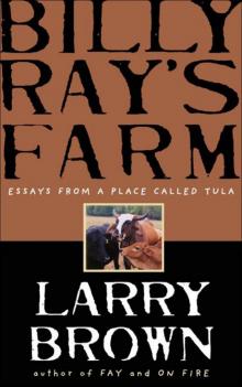      Billy Ray's Farm