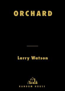      Orchard