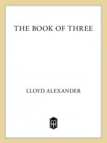      The Book of Three