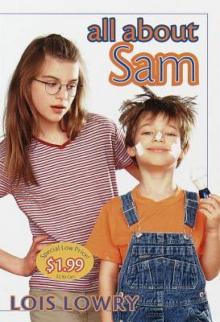      All About Sam