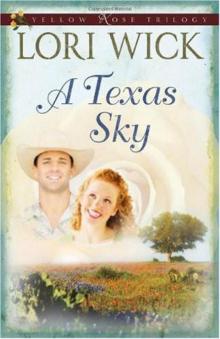      A Texas Sky